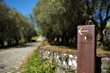 Portugal-Minho-Portuguese Coastal Way